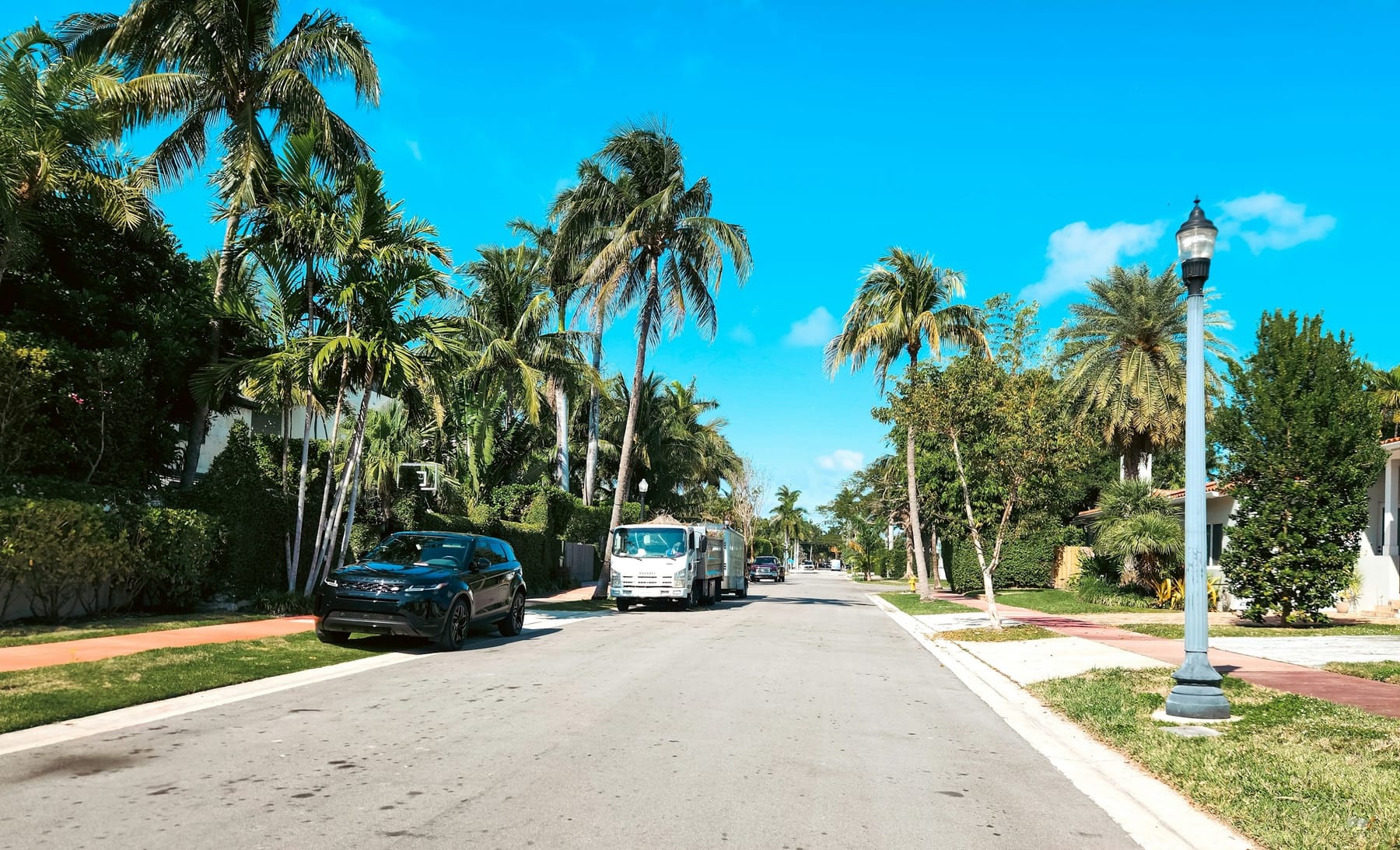 A residential street lined with palms, cars parked along one kerb under a bright sky.